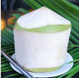 去三亞除了沙灘 美食,還有這些自帶故事的熱帶植物也不能錯(cuò)過